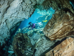 Entrance of a cave in Mexico. The cenotes in Mexico are r... by Brenda De Vries 